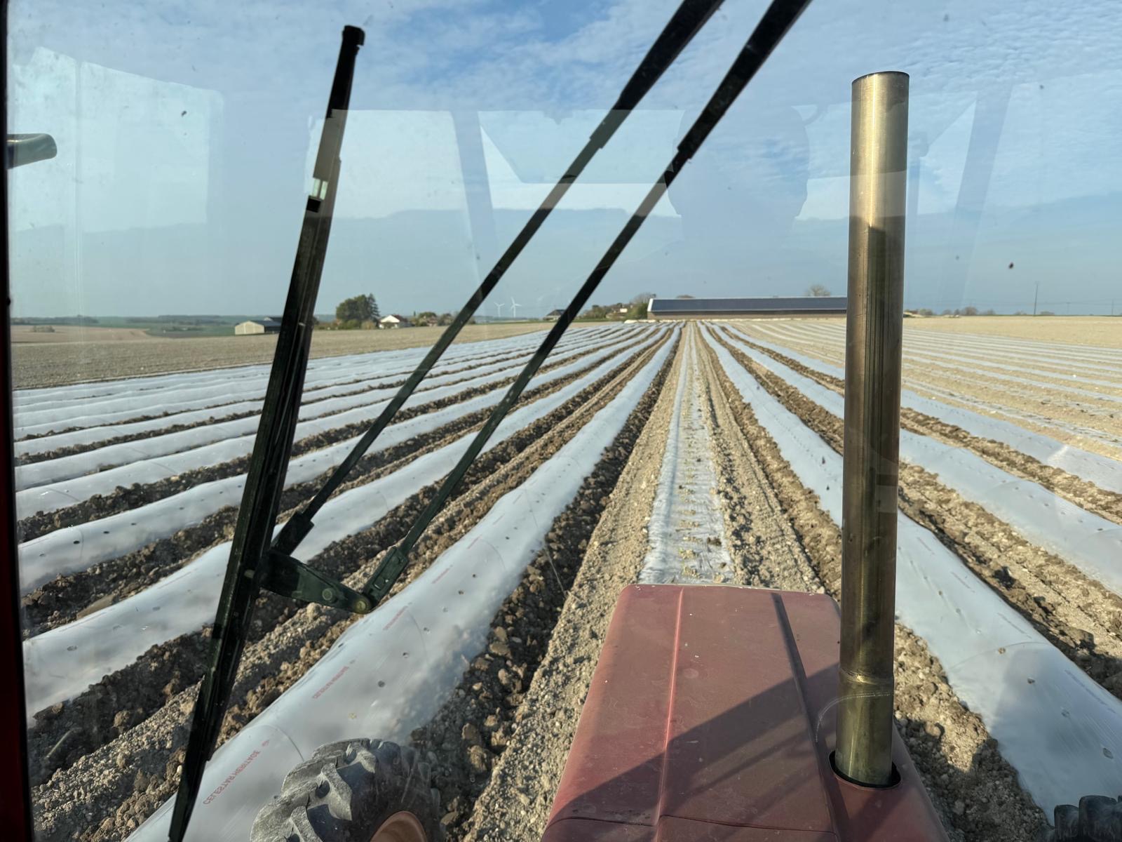 Travail des rangs en tracteur